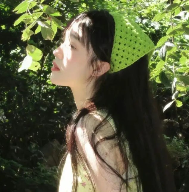 与鲨同游