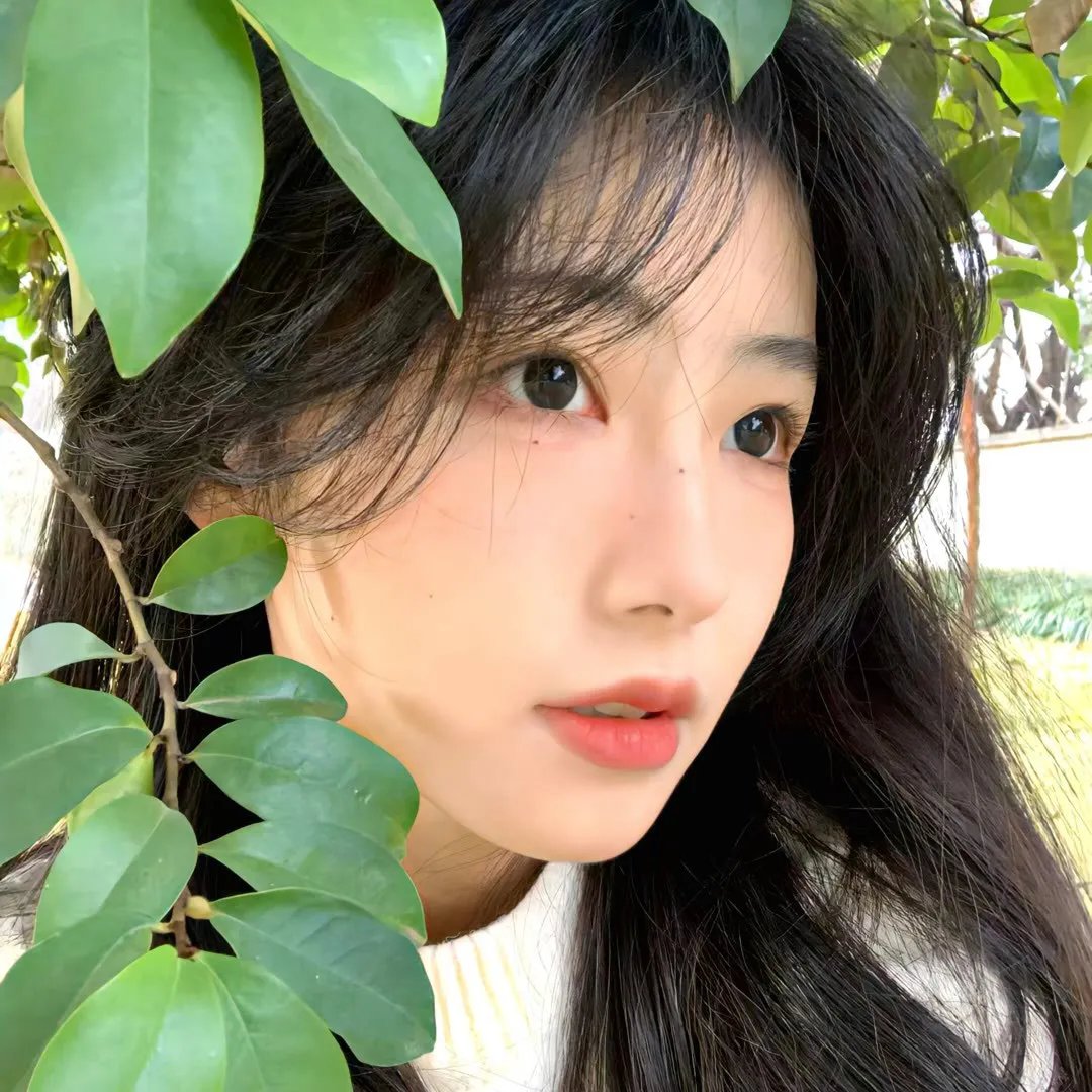 魔女的秘密